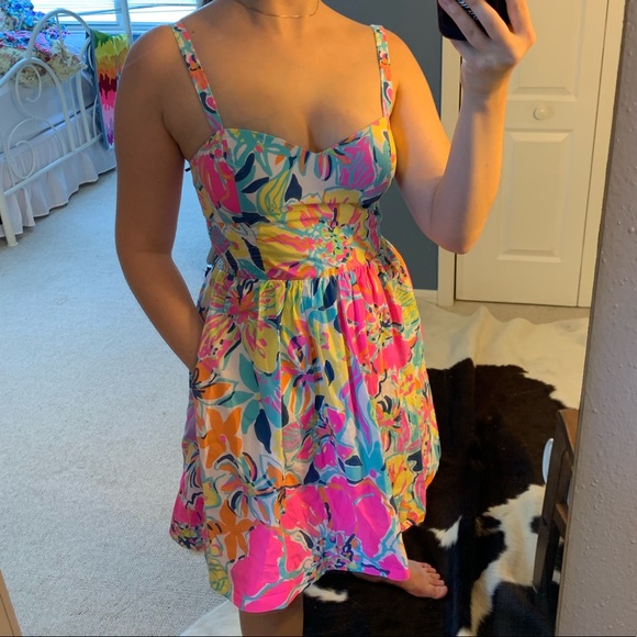 Lilly Pulitzer Fit and Flare Dress - Picture 6 of 6